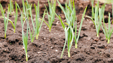 Similar image 21220122