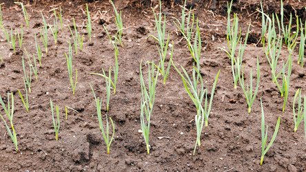 Similar image 21220206