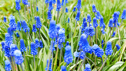 Similar image 21220211