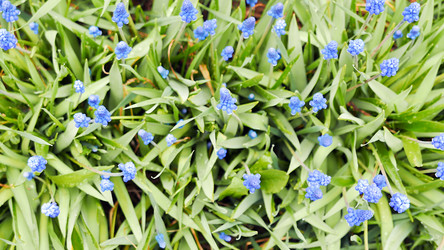 Similar image 21220213