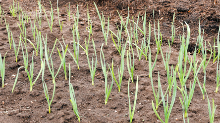 Similar image 21221239