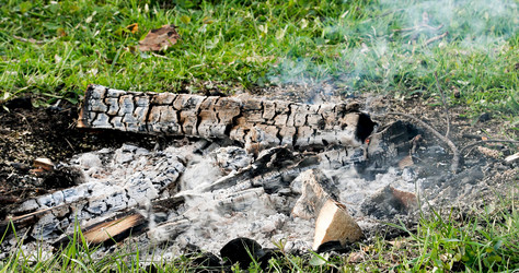 Similar image 21221240