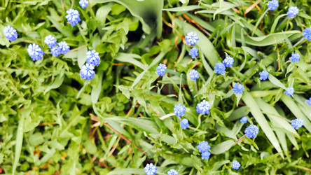 Similar image 21221241