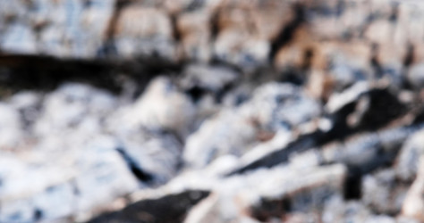 Similar image 21221244