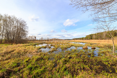 Similar image 21221263