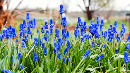 Similar image 21221266