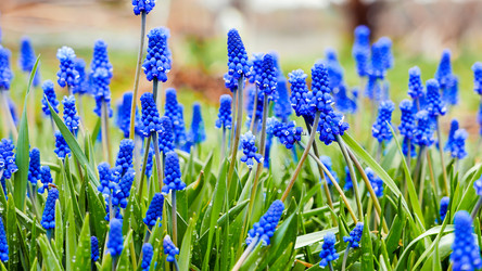 Similar image 21231233