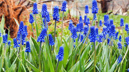 Similar image 21231398