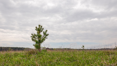 Similar image 21231404