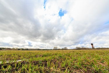 Similar image 21231406