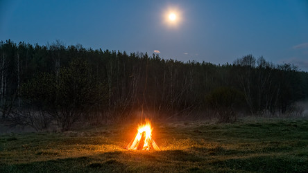 Similar image 21231413