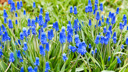 Similar image 21231600