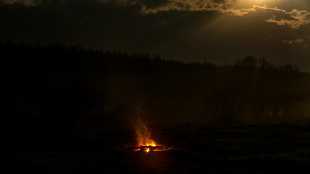 Similar image 21231601