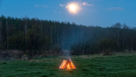 Similar image 21231604