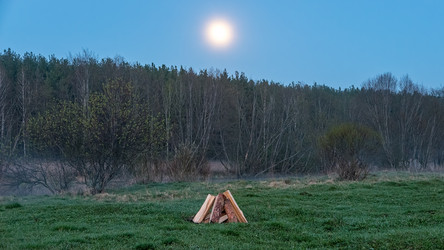 Similar image 21231606