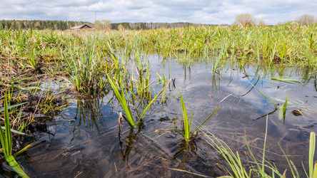 Similar image 21231614