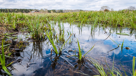 Similar image 21231616