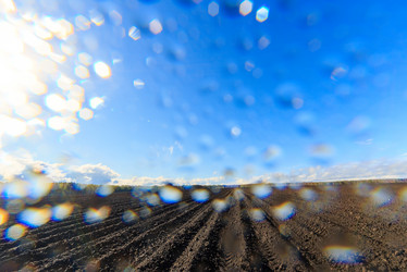 Similar image 21231617