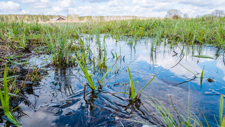 Similar image 21231678