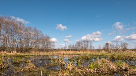 Similar image 21231680