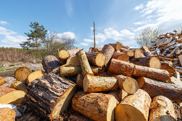 Similar image 21231720