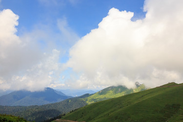 Similar image 21231426