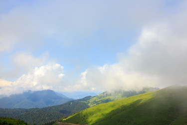 Similar image 21231428