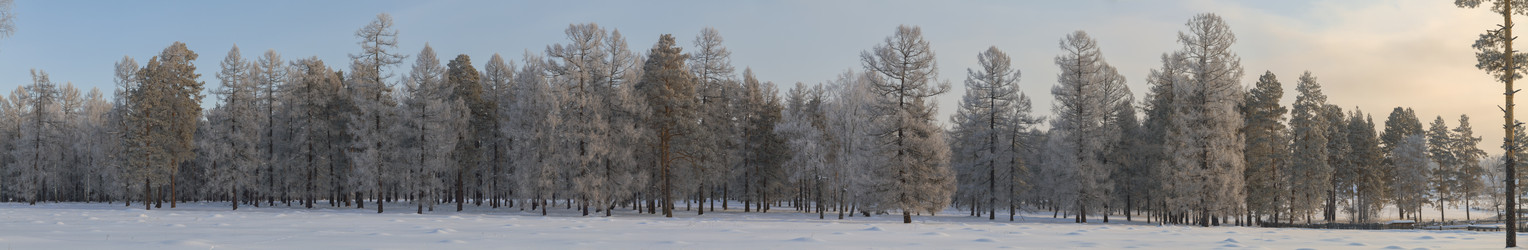 Similar image 21231429