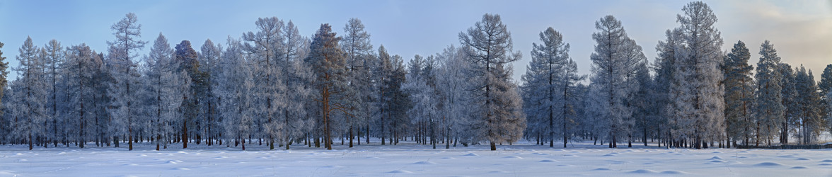 Similar image 21231432