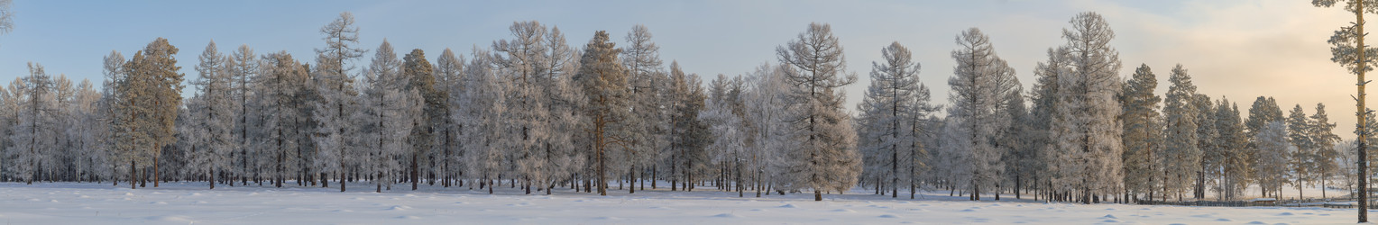 Similar image 21231643