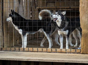 Similar image 21209658