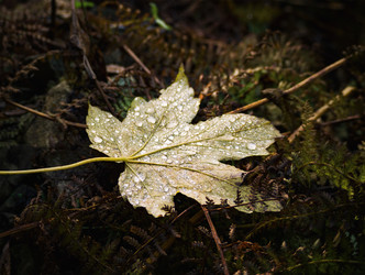 Similar image 21209659