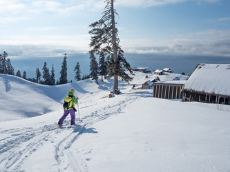 Similar image 21209663