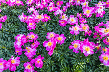 Similar image 21207349