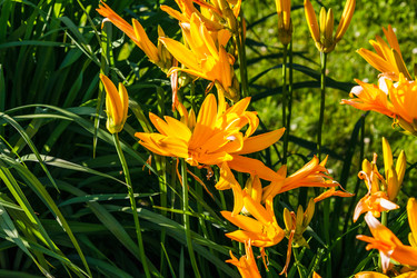 Similar image 21207352