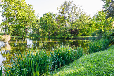 Similar image 21207353