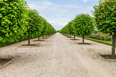 Similar image 21207365