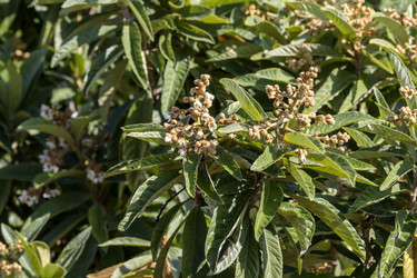 Similar image 21256359