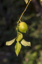 Similar image 21242805