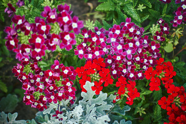 Similar image 21209913