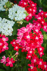 Similar image 21209917