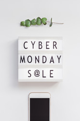 Similar image 21230500