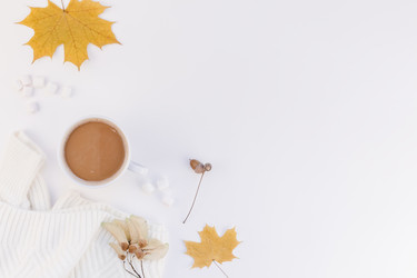 Similar image 21230761