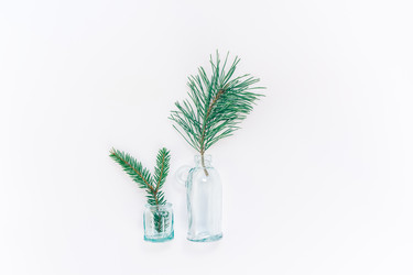 Similar image 21230917