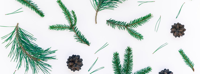 Similar image 21230918