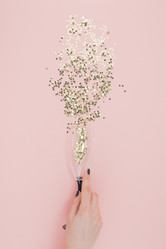 Similar image 21230934