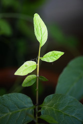 Similar image 21205956