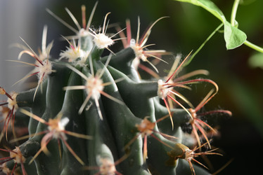 Similar image 21205958