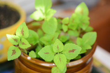 Similar image 21205960