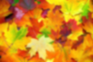 Similar image 21213126